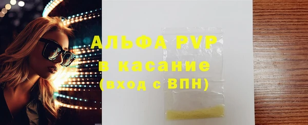 СК Алексин