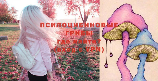 СК Алексин