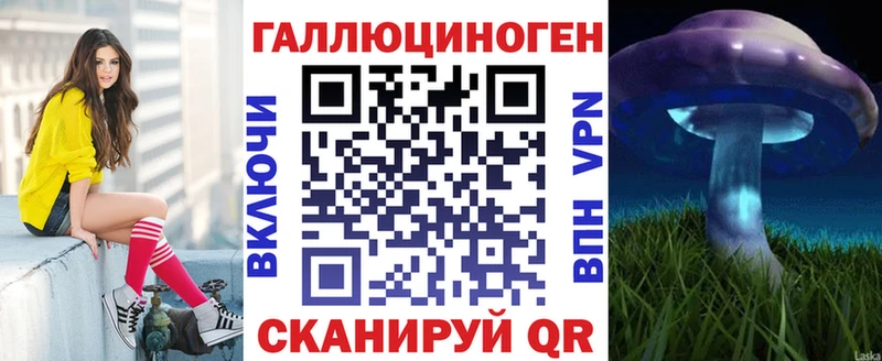 Псилоцибиновые грибы Psilocybe  Ленинск-Кузнецкий 